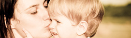widget image